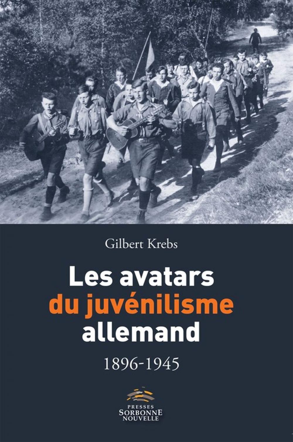 Big bigCover of Les avatars du juvénilisme allemand 1896-1945