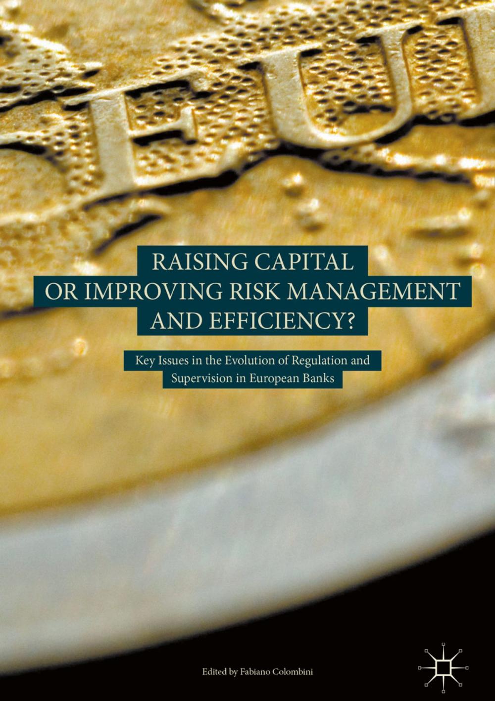 Big bigCover of Raising Capital or Improving Risk Management and Efficiency?