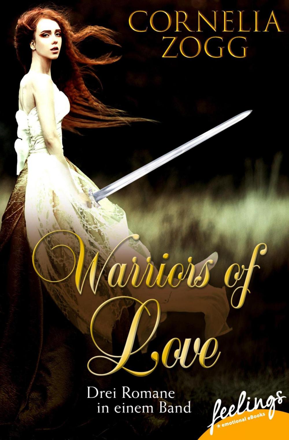 Big bigCover of Warriors of Love 1-3