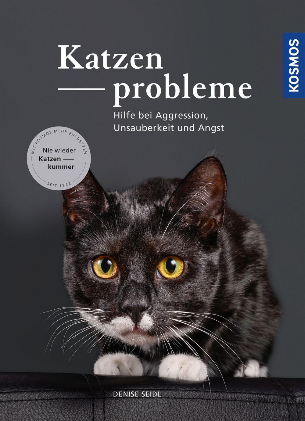 Big bigCover of Katzenprobleme