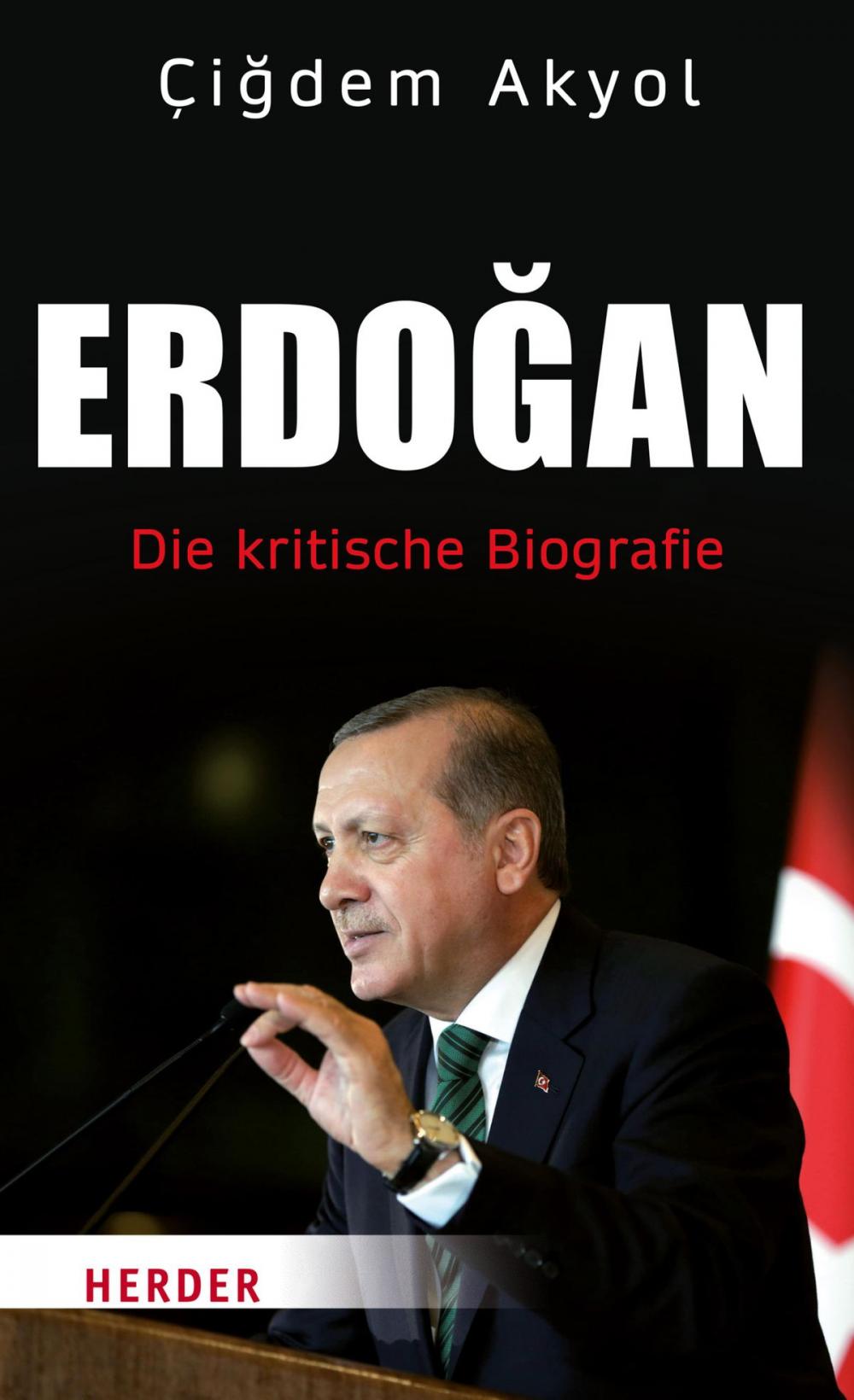 Big bigCover of Erdogan