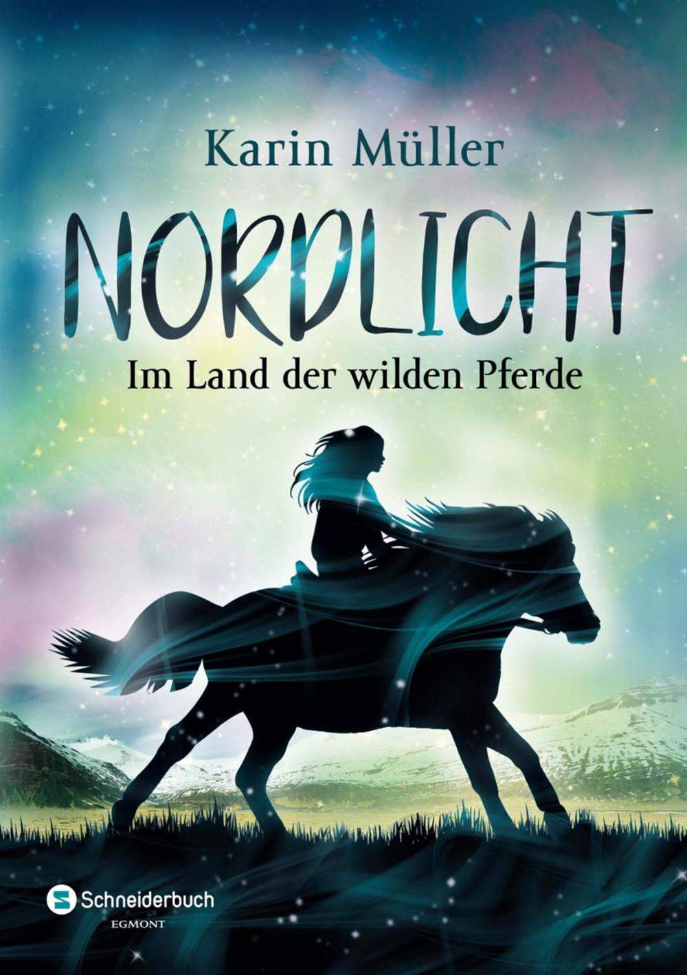 Big bigCover of Nordlicht, Band 01