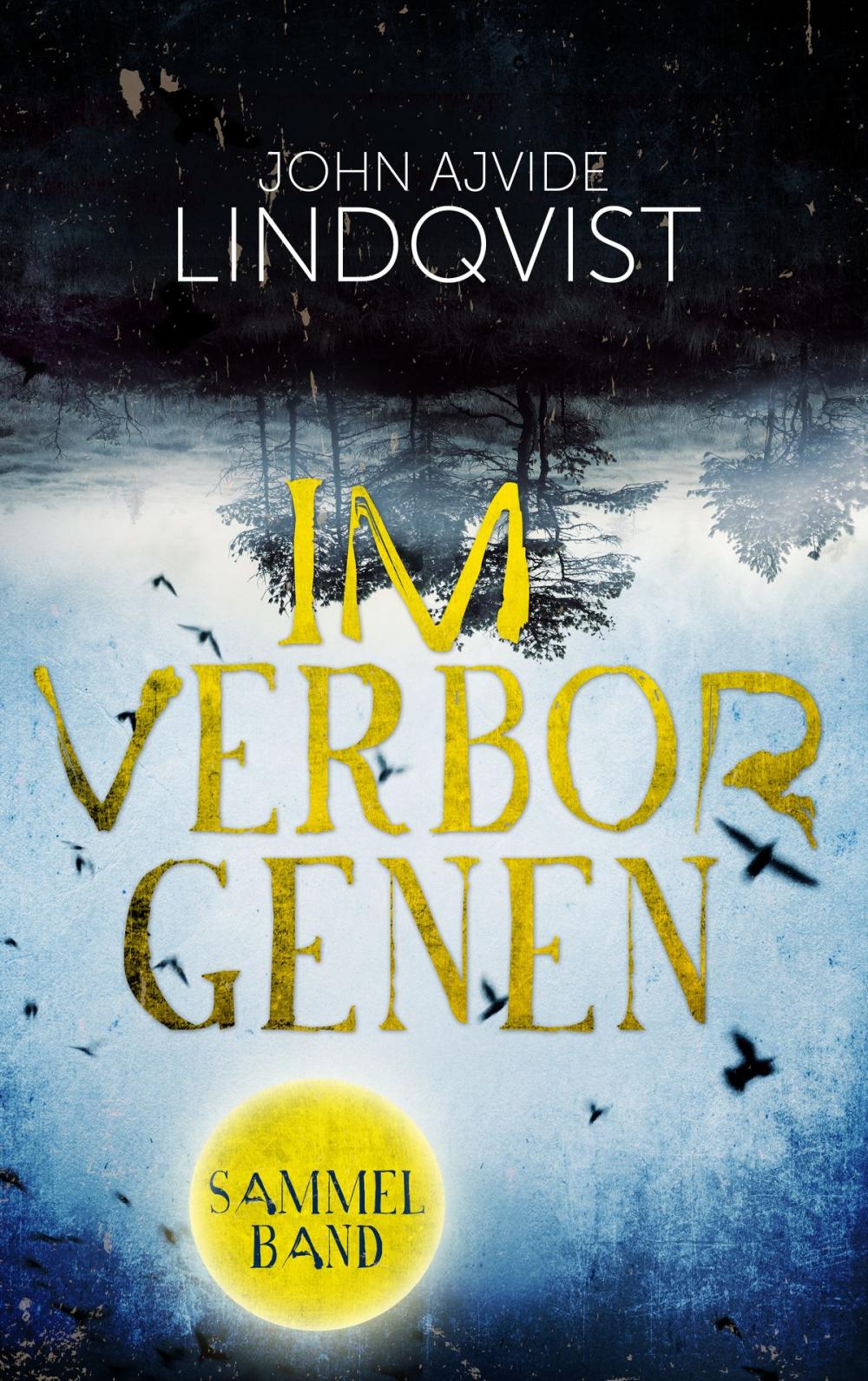 Big bigCover of Im Verborgenen