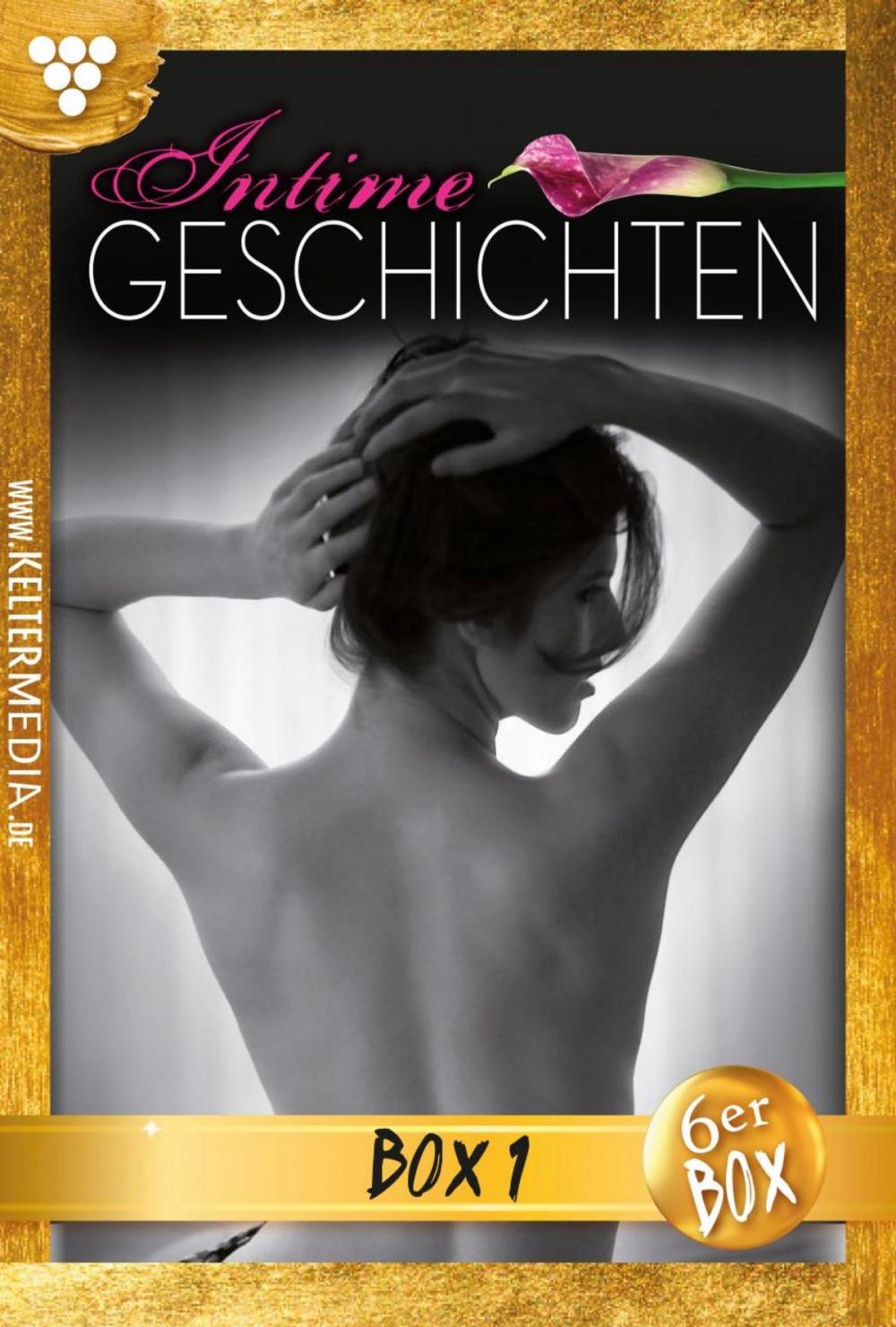 Big bigCover of Intime Geschichten Jubiläumsbox 1 – Erotikroman