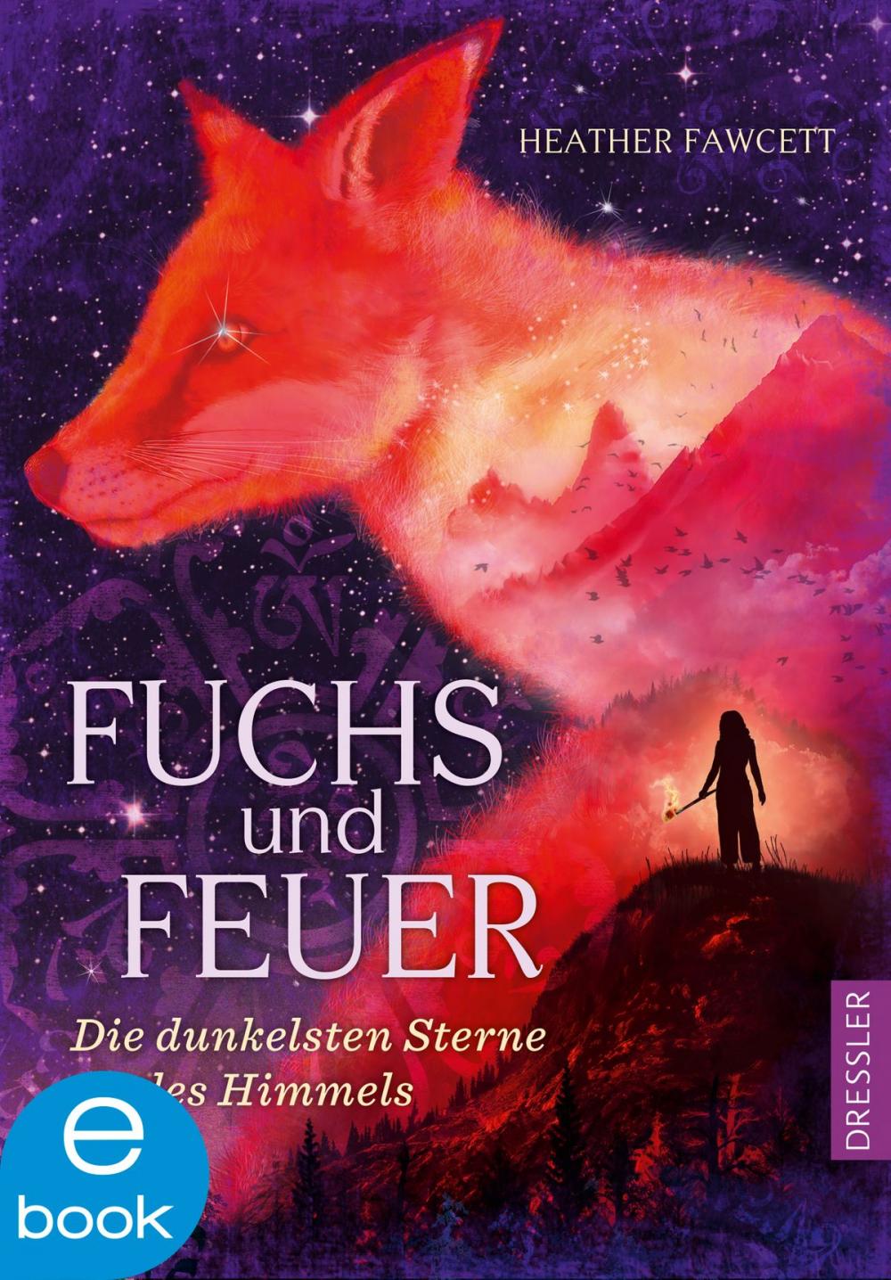 Big bigCover of Fuchs und Feuer