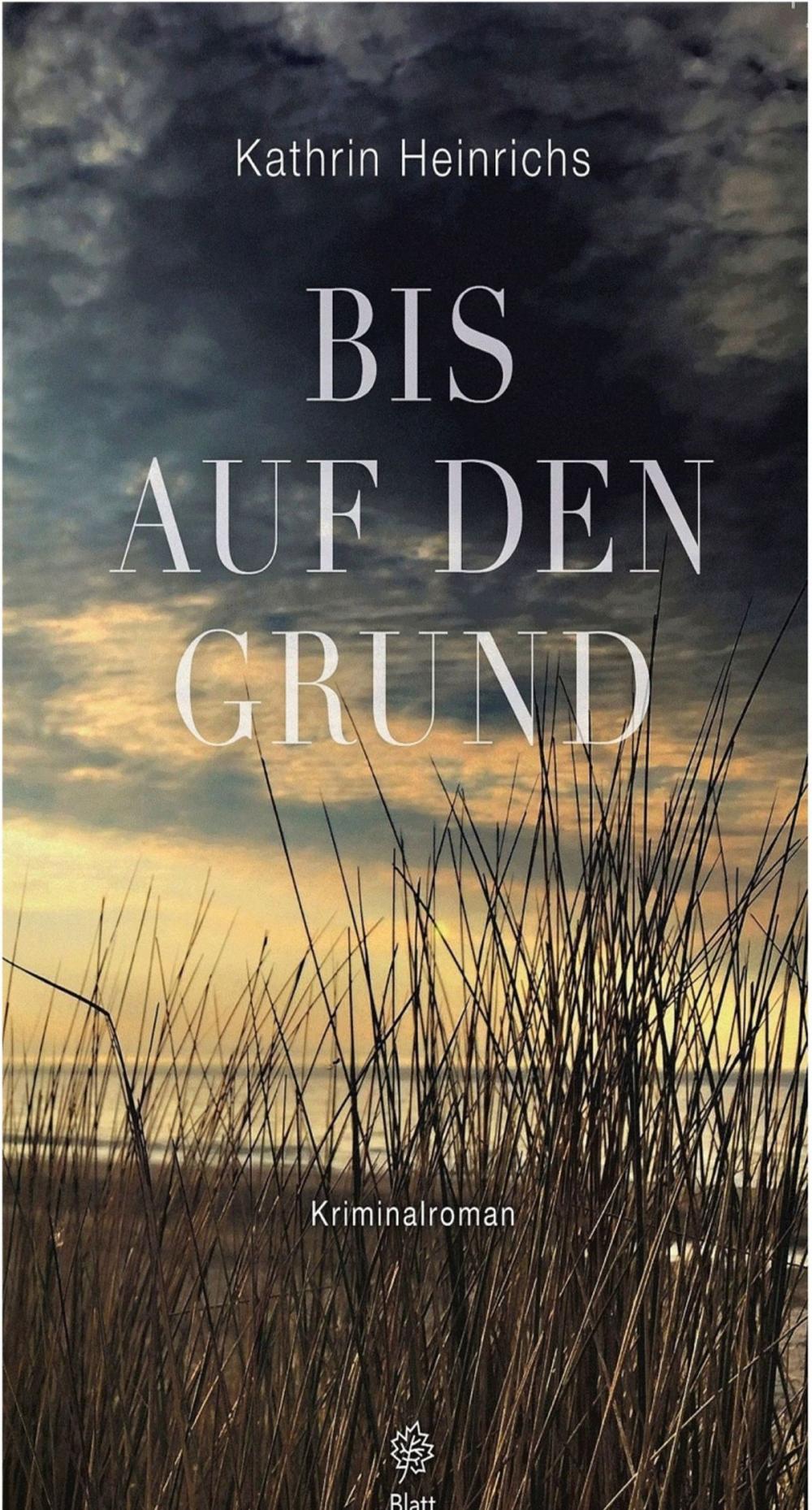 Big bigCover of Bis auf den Grund