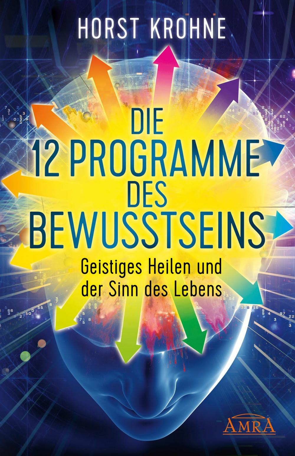 Big bigCover of Die 12 Programme des Bewusstseins