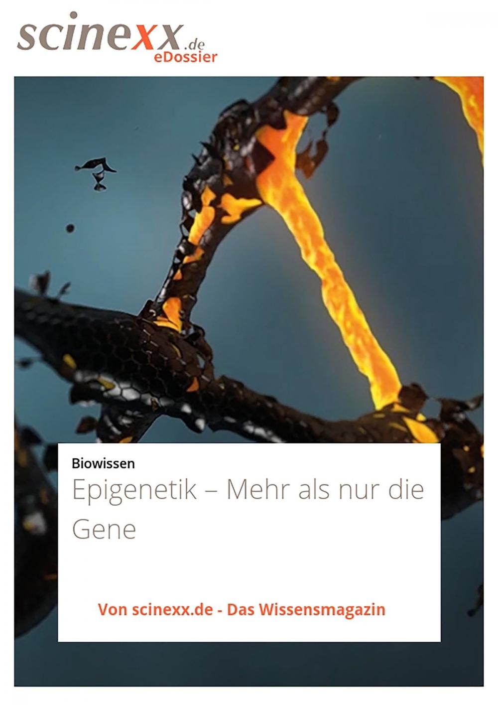 Big bigCover of Epigenetik – Mehr als nur die Gene