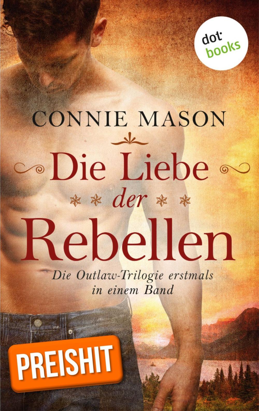 Big bigCover of Die Liebe der Rebellen