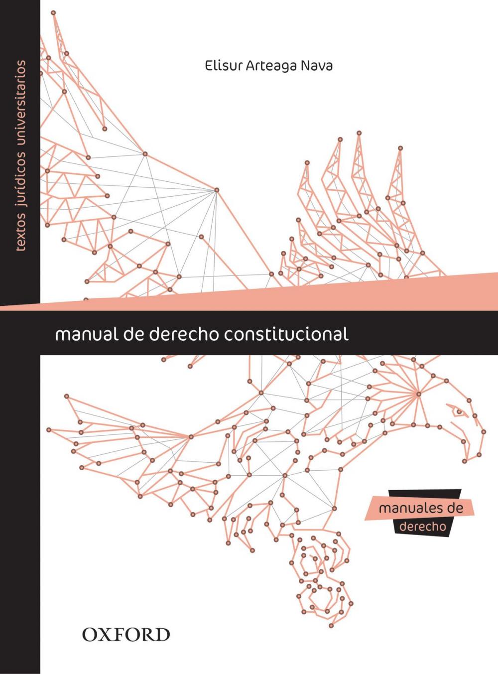 Big bigCover of Manual de derecho constitucional