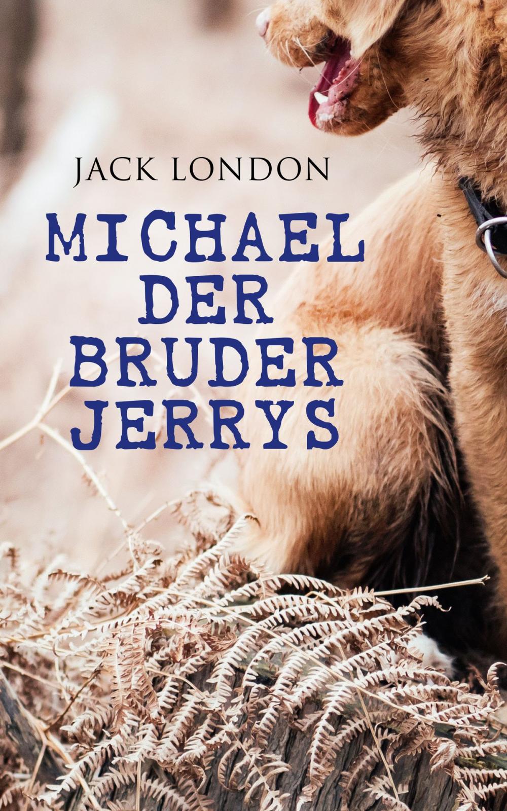 Big bigCover of Michael der Bruder Jerrys