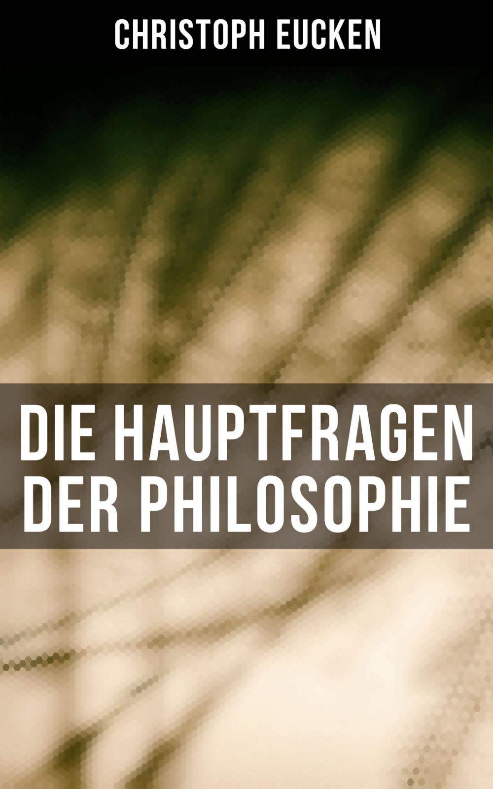 Big bigCover of Die Hauptfragen der Philosophie