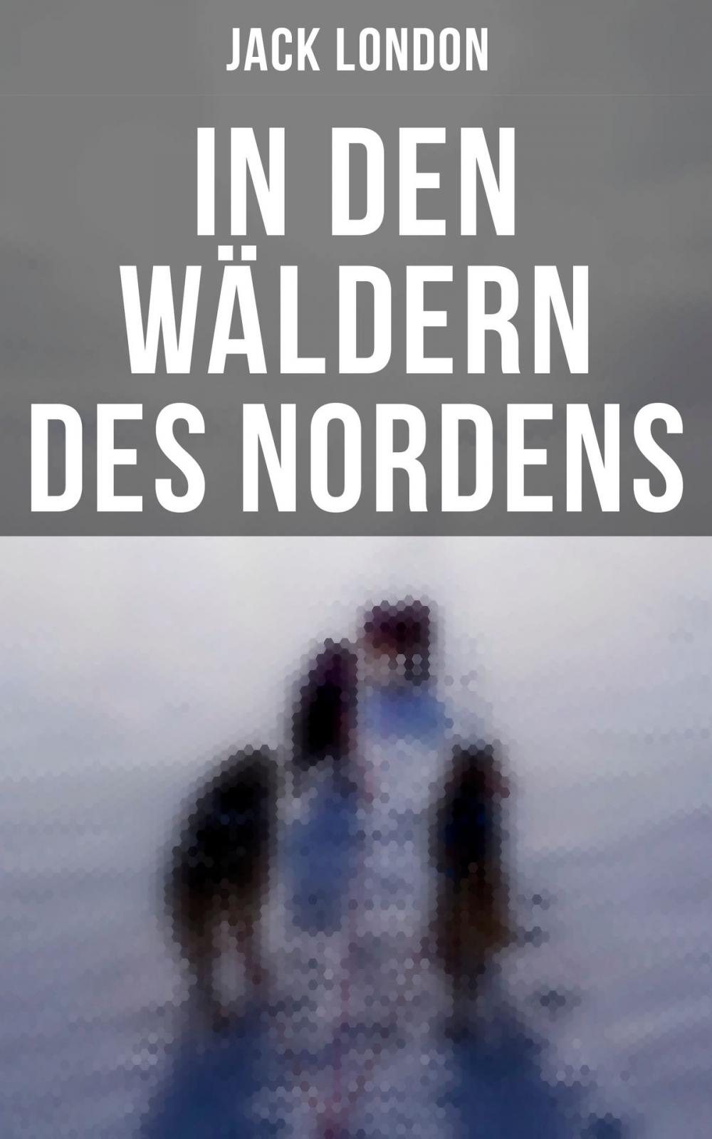 Big bigCover of In den Wäldern des Nordens