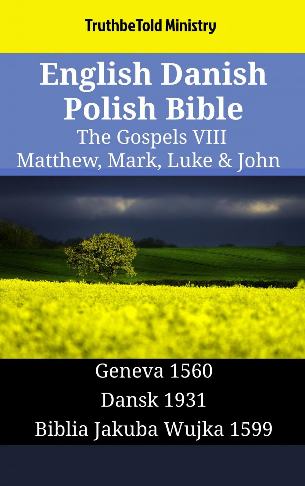 Big bigCover of English Danish Polish Bible - The Gospels VIII - Matthew, Mark, Luke & John