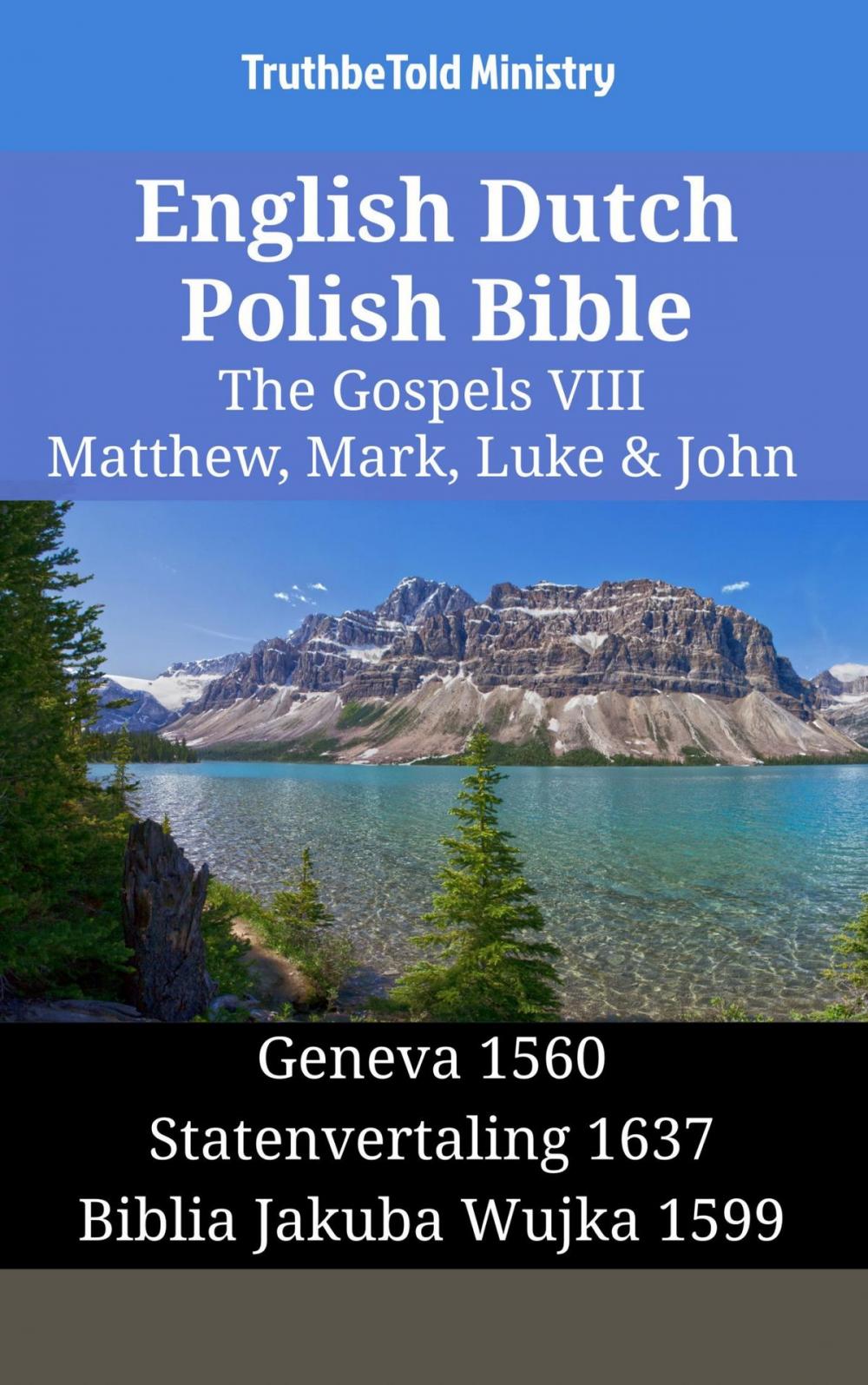 Big bigCover of English Dutch Polish Bible - The Gospels VIII - Matthew, Mark, Luke & John