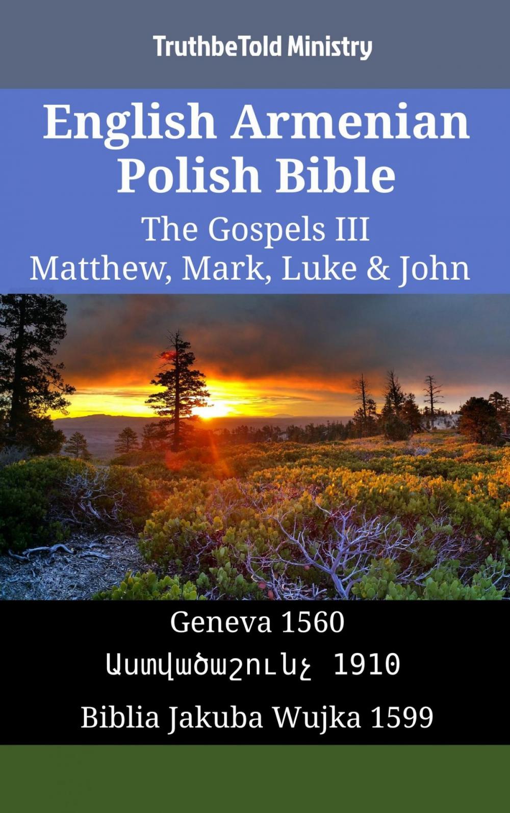 Big bigCover of English Armenian Polish Bible - The Gospels III - Matthew, Mark, Luke & John