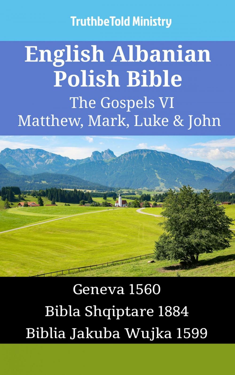 Big bigCover of English Albanian Polish Bible - The Gospels VI - Matthew, Mark, Luke & John