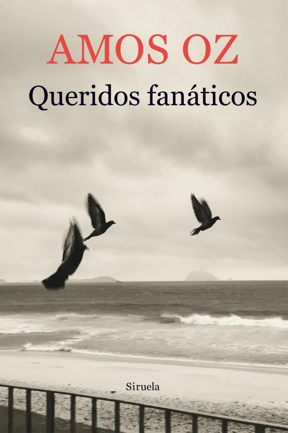 Big bigCover of Queridos fanáticos