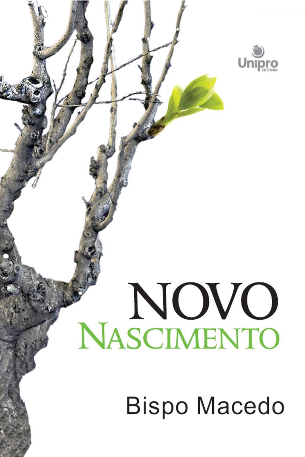 Big bigCover of Novo nascimento