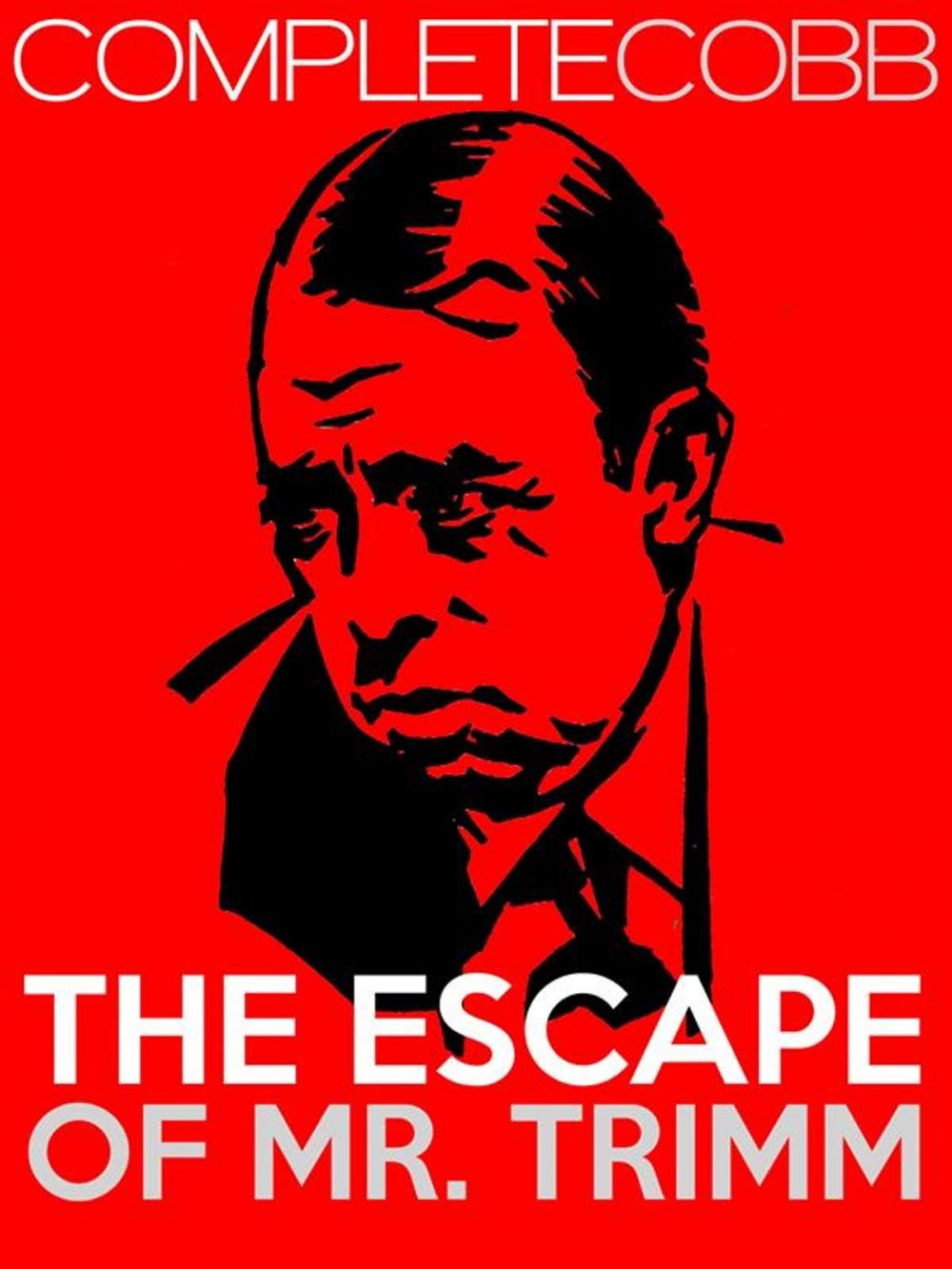 Big bigCover of The Escape of Mr. Trimm