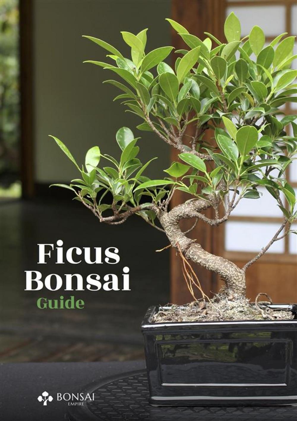 Big bigCover of Ficus Bonsai Guide