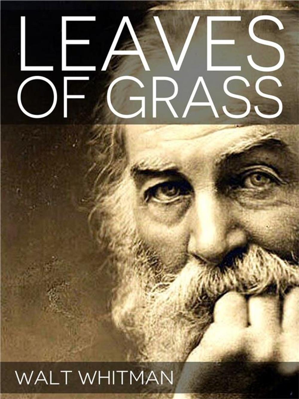 Big bigCover of Leaves of Grass