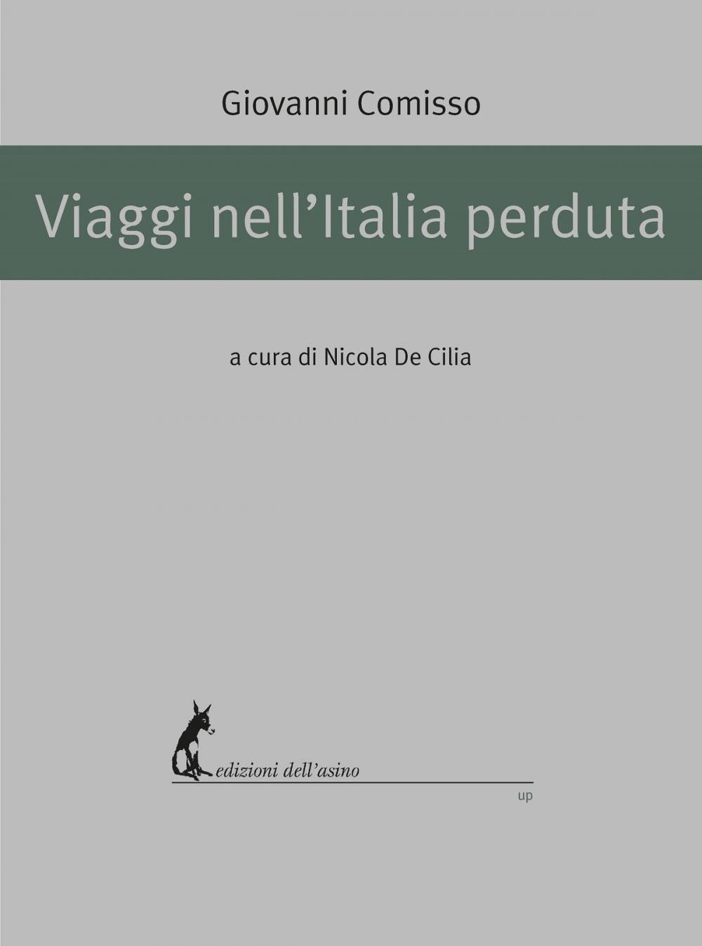 Big bigCover of Viaggi nell'Italia perduta