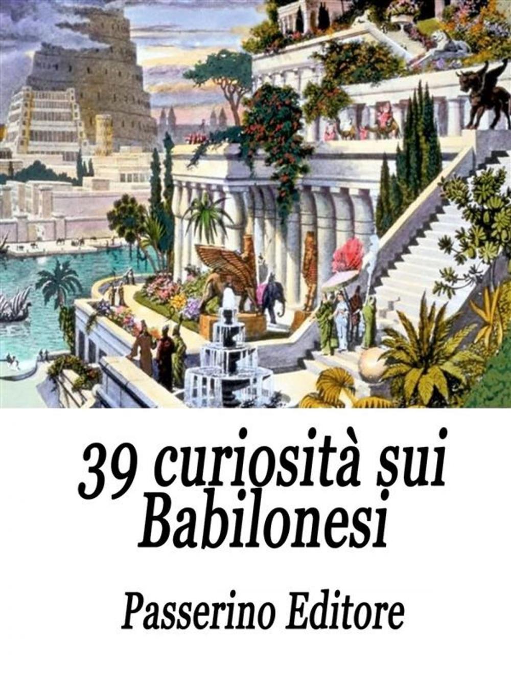 Big bigCover of 39 curiosità sui Babilonesi