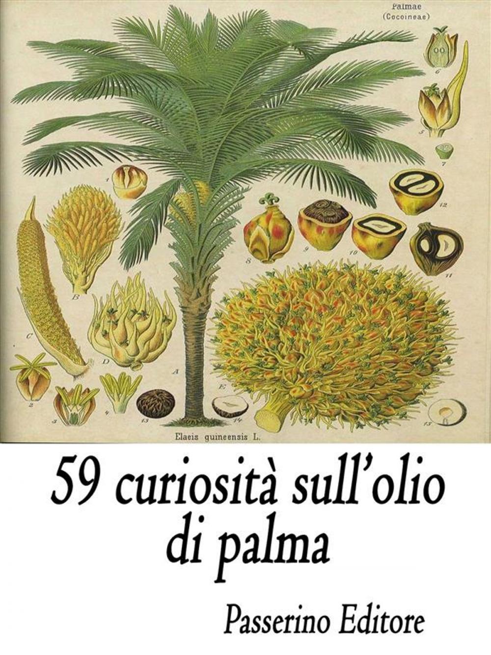 Big bigCover of 59 curiosità sull'olio di palma