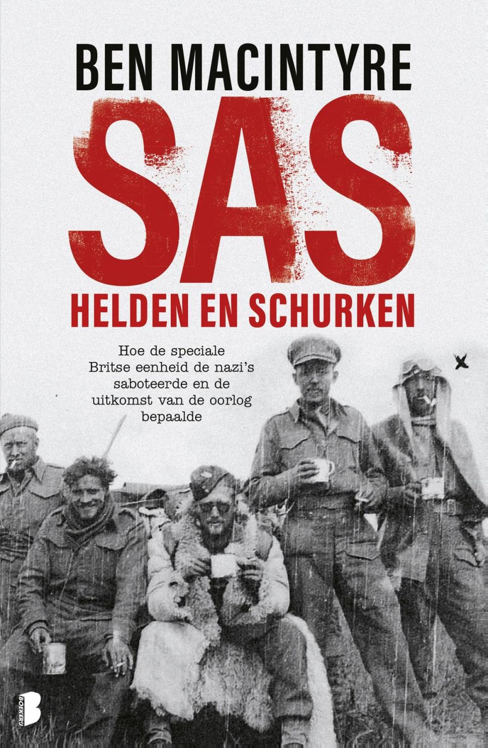 Big bigCover of SAS: helden en schurken