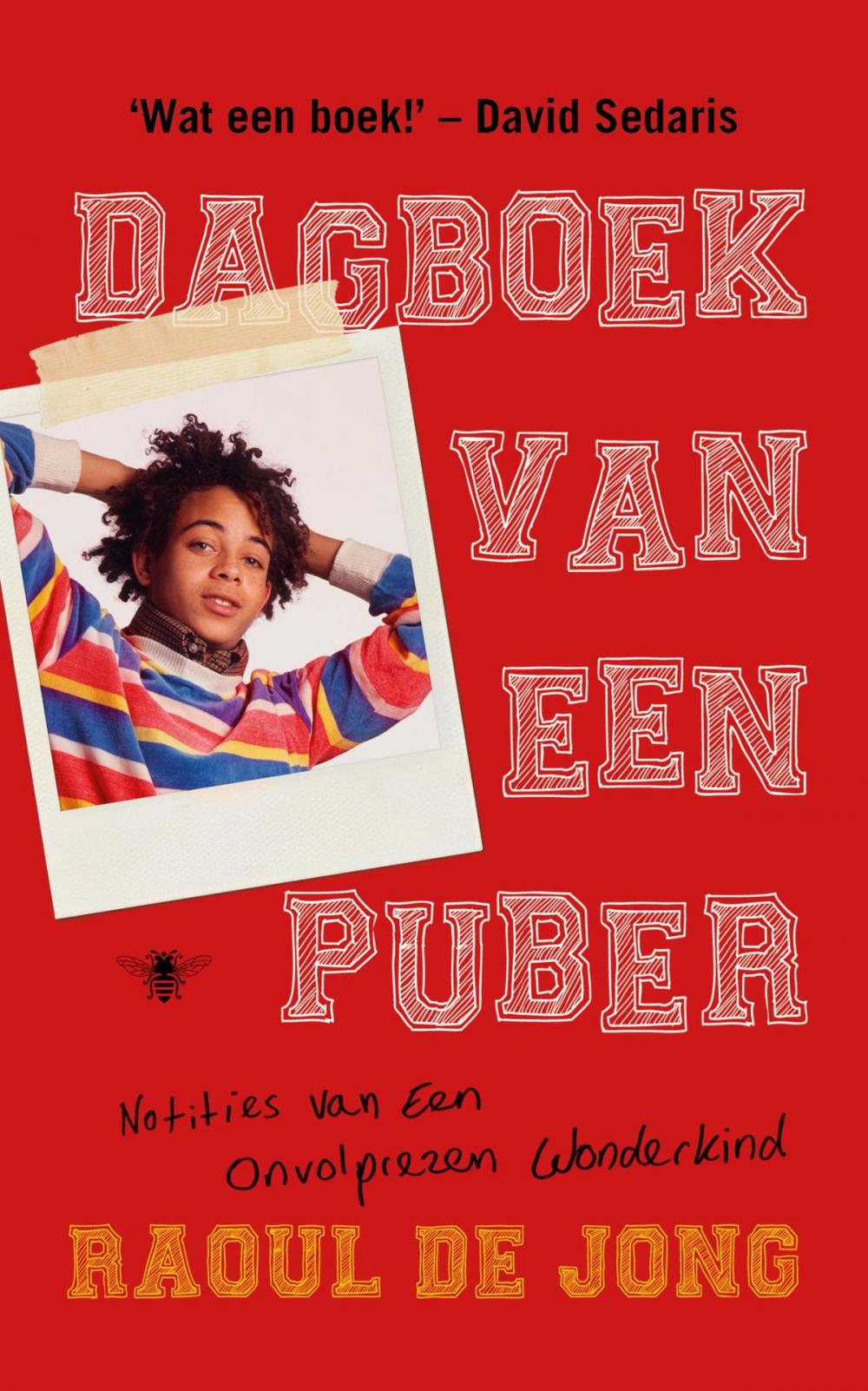 Big bigCover of Dagboek van een puber