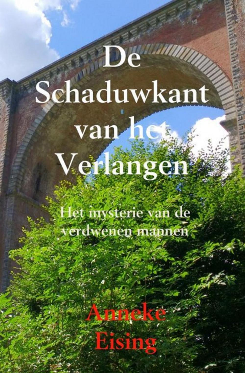 Big bigCover of De Schaduwkant van het Verlangen