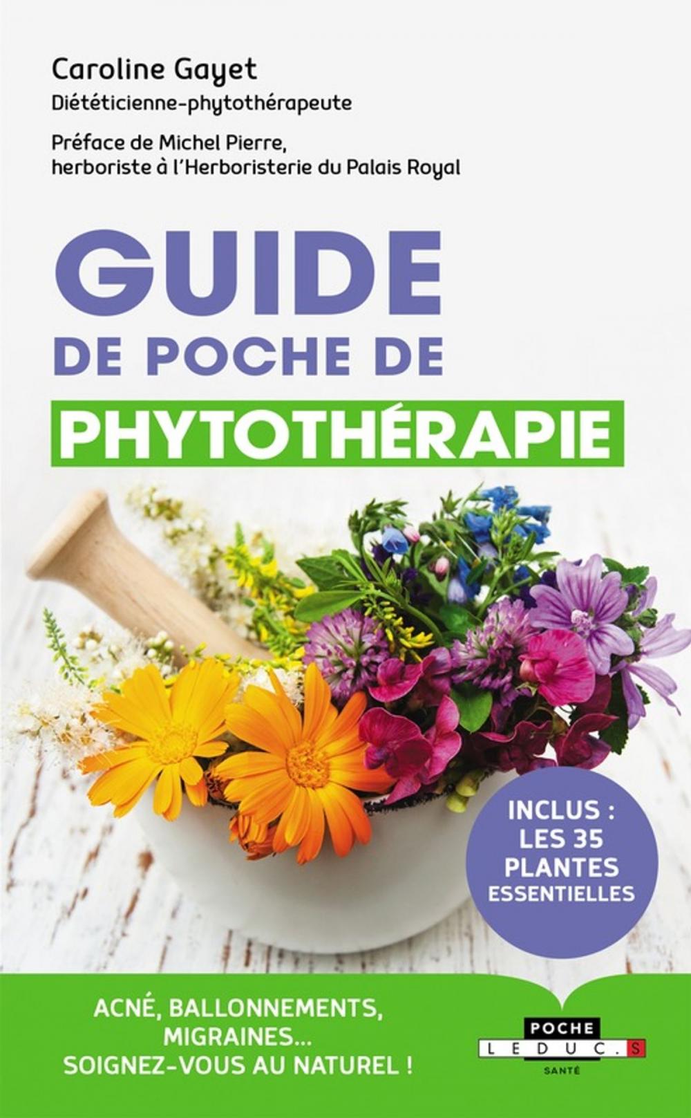 Big bigCover of Guide de poche de phytothérapie