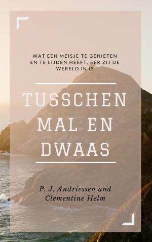Book cover of Tusschen mal en dwaas (Geïllustreerd)