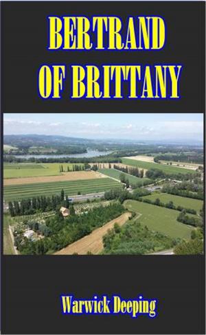 Cover of the book Bertrand of Brittany by Jody R. LaGreca