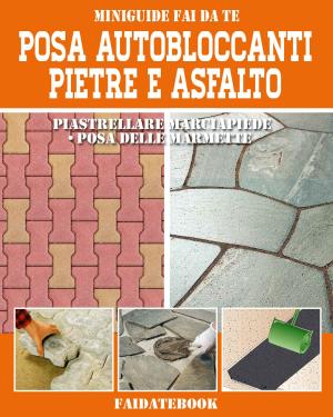 bigCover of the book Posa Autobloccanti - Pietre - Asfalto by 