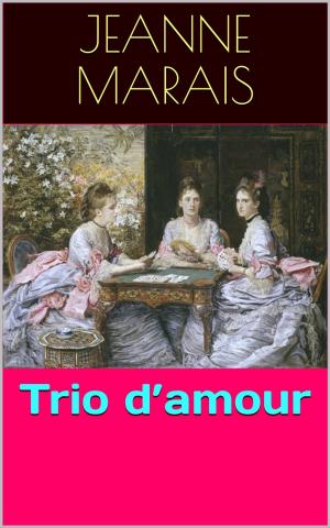 Cover of the book Trio d’amour by Patrick Bonnaudeau