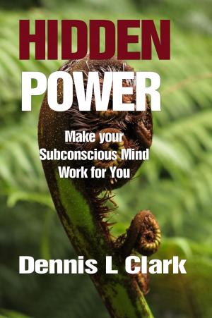 Cover of the book HiddenPower by Adam Tokunaga