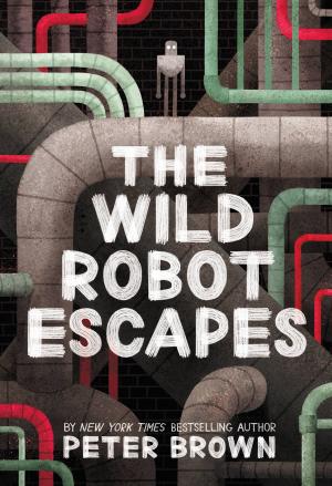 Cover of the book The Wild Robot Escapes by Pat Zietlow Miller, Eliza Wheeler