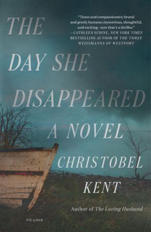 Cover of the book The Day She Disappeared by Megan Hustad
