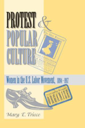 Cover of the book Protest And Popular Culture by Susan Cave