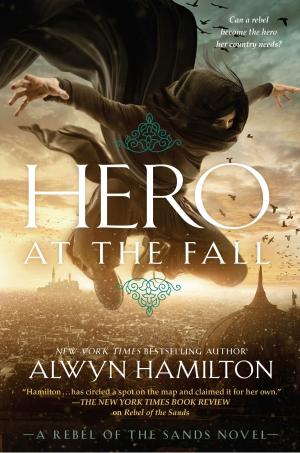 Cover of the book Hero at the Fall by Astrid Scholte
