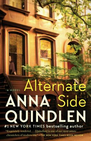 Cover of the book Alternate Side by Colum McCann