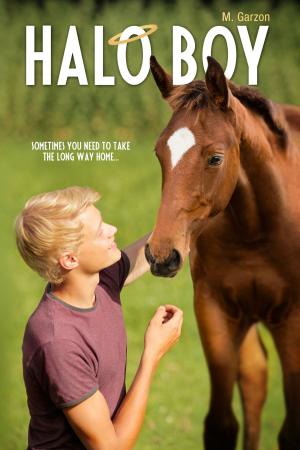 bigCover of the book Halo Boy by 