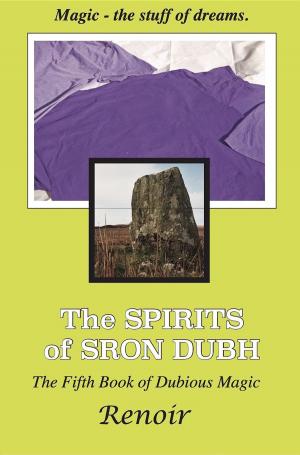 Cover of the book THE SPIRITS OF SRON DUBH by Amélie S. Duncan