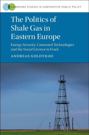Cover of the book The Politics of Shale Gas in Eastern Europe by Thomas R. Cole, Nathan S. Carlin, Ronald A. Carson