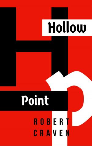 Cover of the book Hollow Point by DaNeo Duran