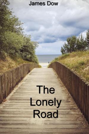 Cover of the book The Lonely Road by T.H.Robbing