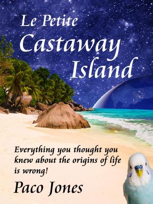 Cover of Le Petite Castaway Island