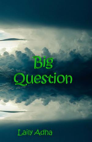 bigCover of the book Big Question by 